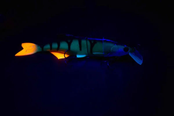 Perch – Bild 2